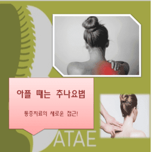 추나요법 실손보험