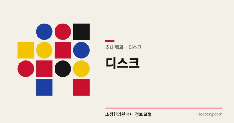 디스크 — 추나 백과
