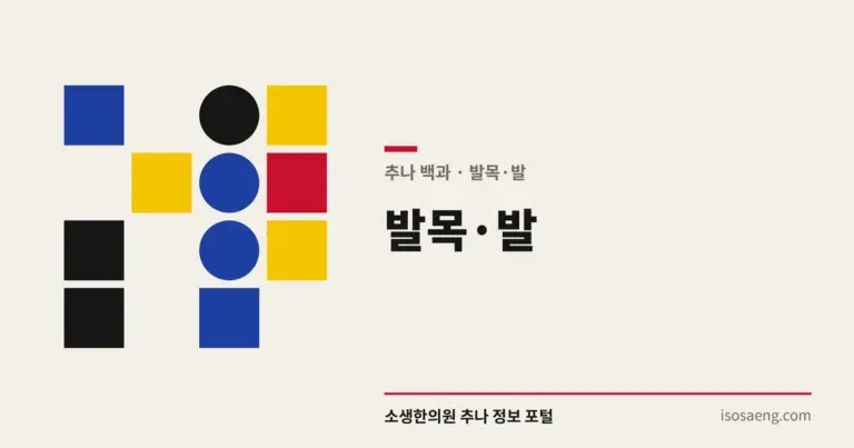 발목·발 — 추나 백과