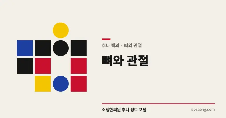 뼈와 관절 — 추나 백과