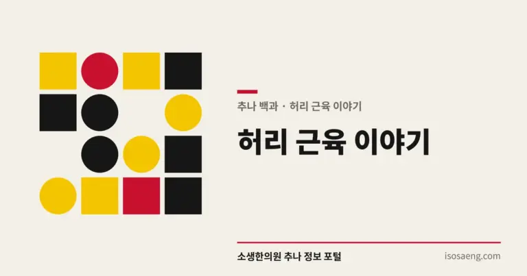 허리 근육 이야기 — 추나 백과