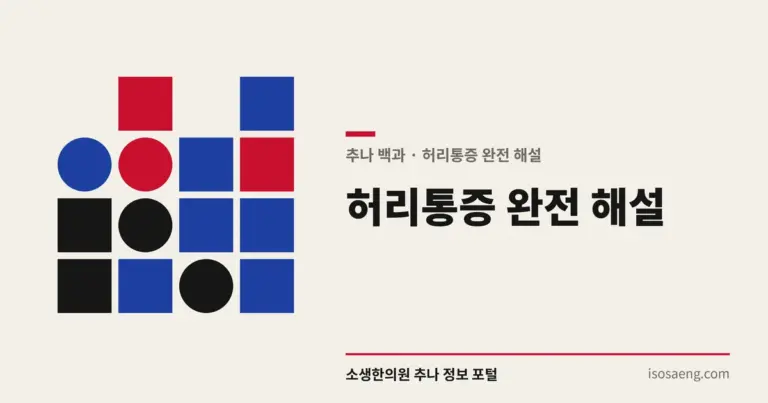 허리통증 완전 해설 — 추나 백과