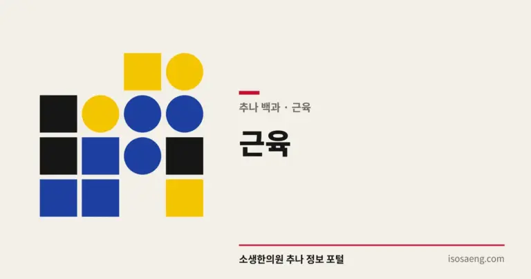근육 — 추나 백과