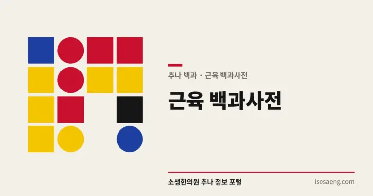 근육 백과사전 — 추나 백과