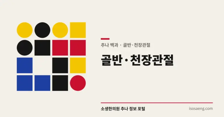 골반·천장관절 — 추나 백과