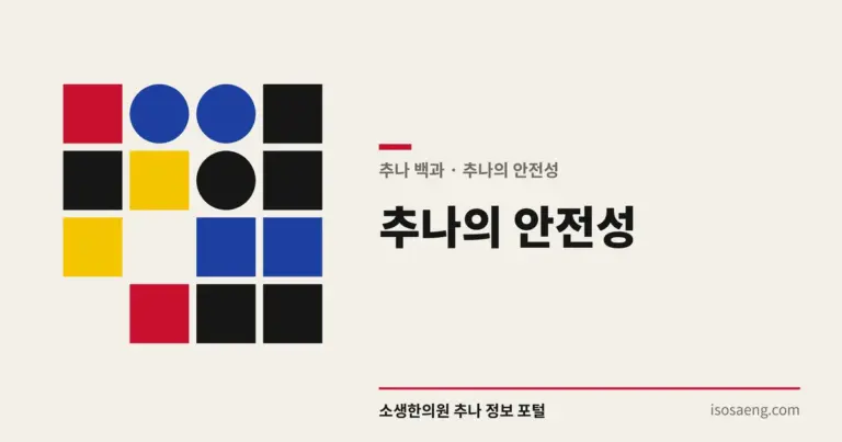 추나의 안전성 — 추나 백과