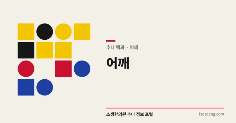어깨 — 추나 백과