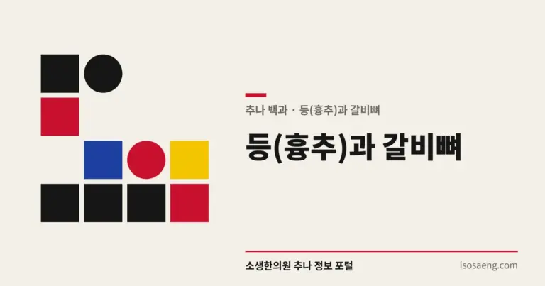 등(흉추)과 갈비뼈 — 추나 백과