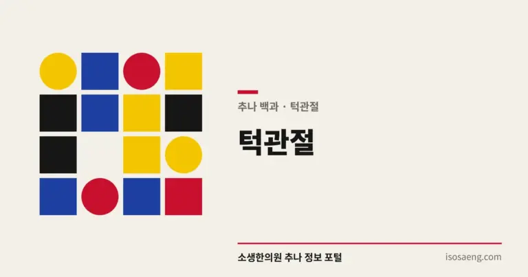 턱관절 — 추나 백과