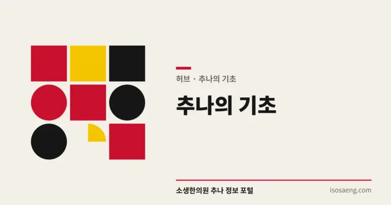 추나의 기초 — 쉽게 배우는 추나