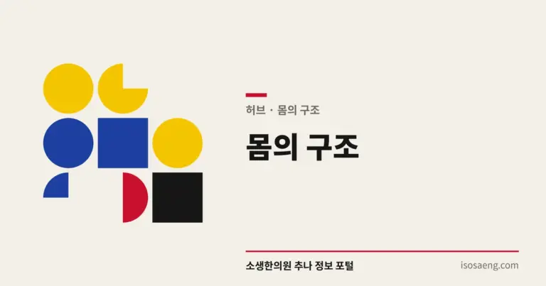 몸의 구조 — 쉽게 배우는 추나