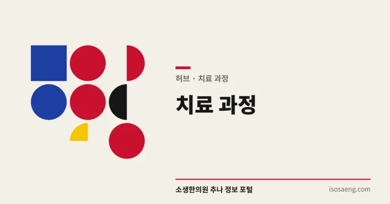 치료 과정