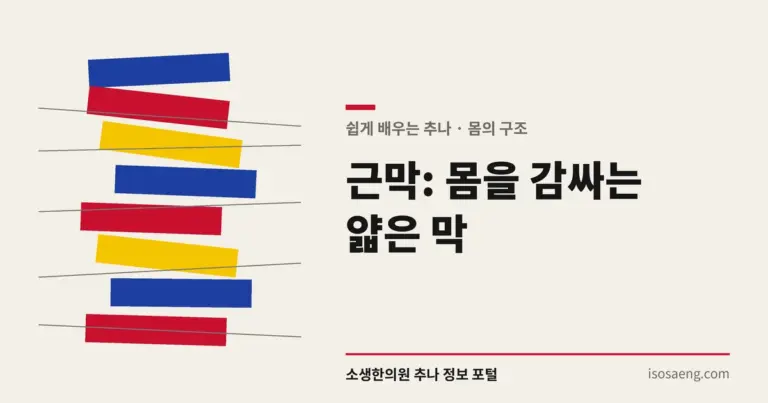 근막: 몸을 감싸는 얇은 막
