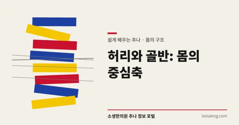 허리와 골반: 몸의 중심축