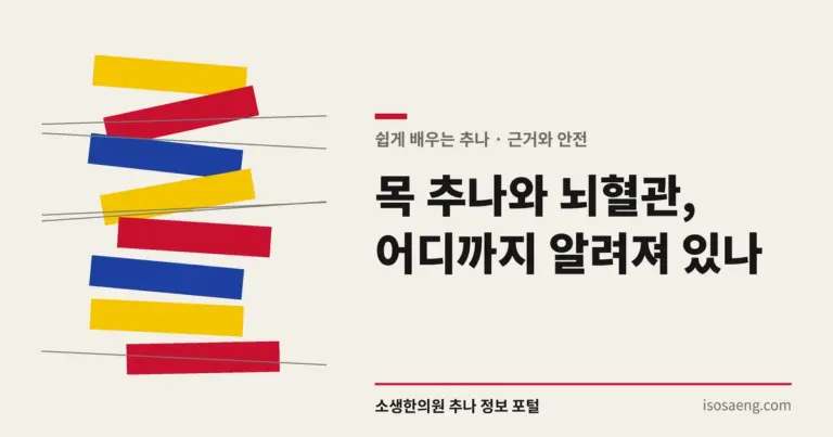 목 추나와 뇌혈관, 어디까지 알려져 있나