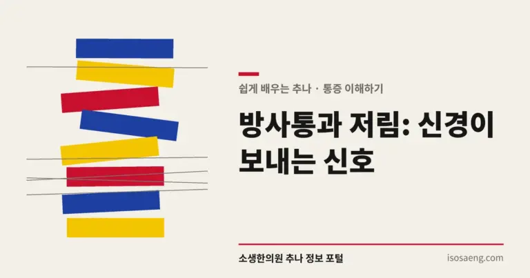 방사통과 저림: 신경이 보내는 신호