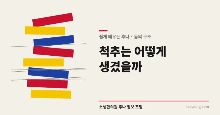 척추는 어떻게 생겼을까