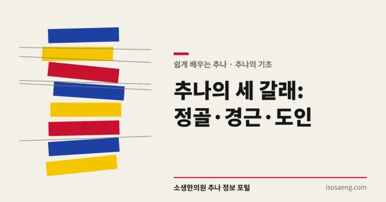 추나의 세 갈래: 정골·경근·도인