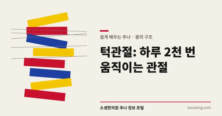 턱관절: 하루 2천 번 움직이는 관절