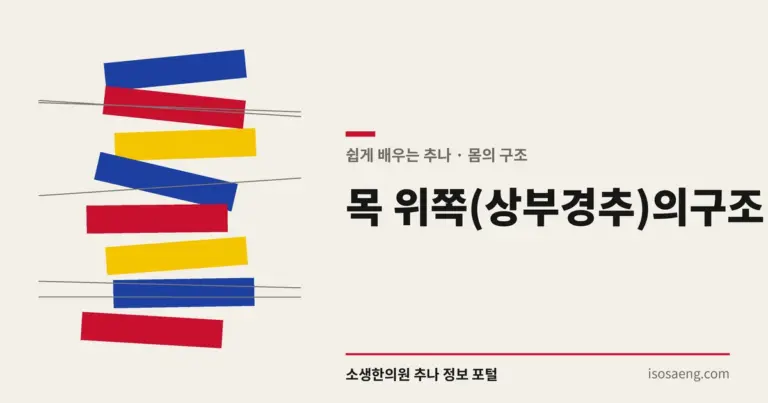 목 위쪽(상부경추)의 구조