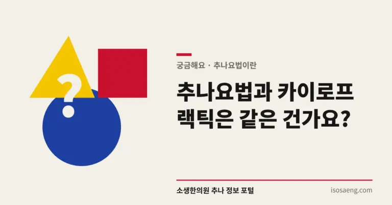 추나요법과 카이로프랙틱은 같은 건가요?