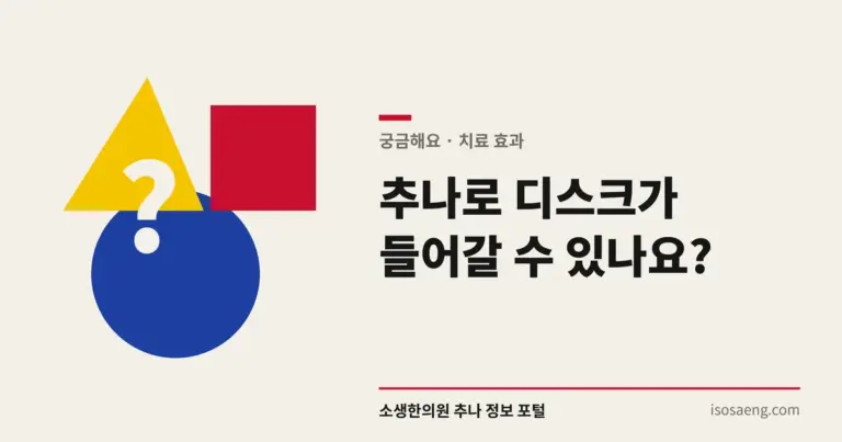 추나로 디스크가 들어갈 수 있나요?