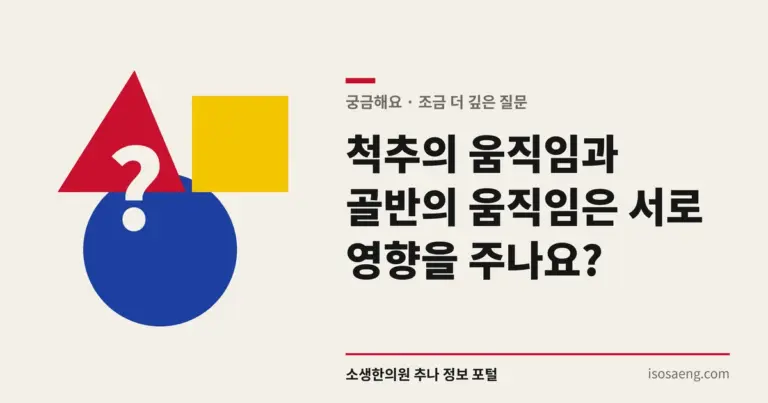 척추의 움직임과 골반의 움직임은 서로 영향을 주나요?