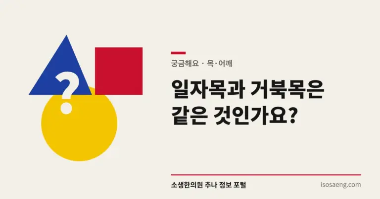일자목과 거북목은 같은 것인가요?