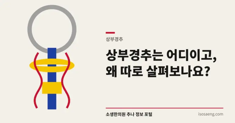 상부경추는 어디이고, 왜 따로 살펴보나요?